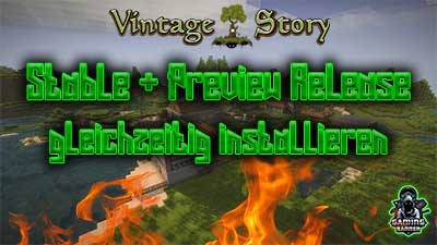 Vintage Story verschiedene Versionen gleichzeitig installieren | Gamingbanner e.V.